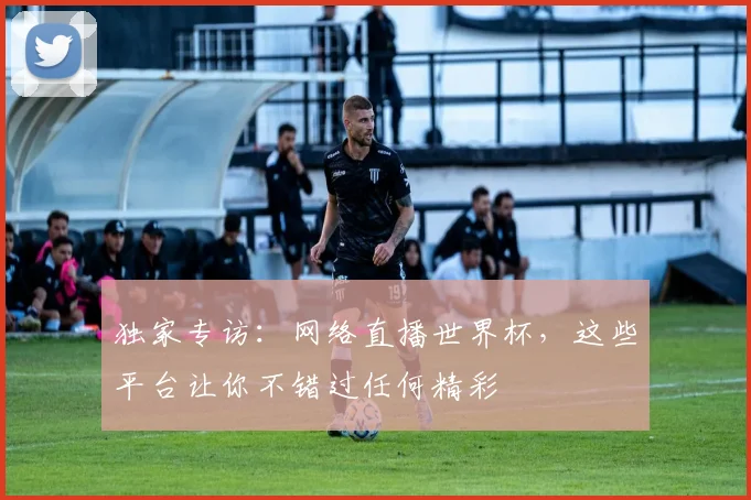 独家专访:网络直播世界杯,这些平台让你不错过任何精彩