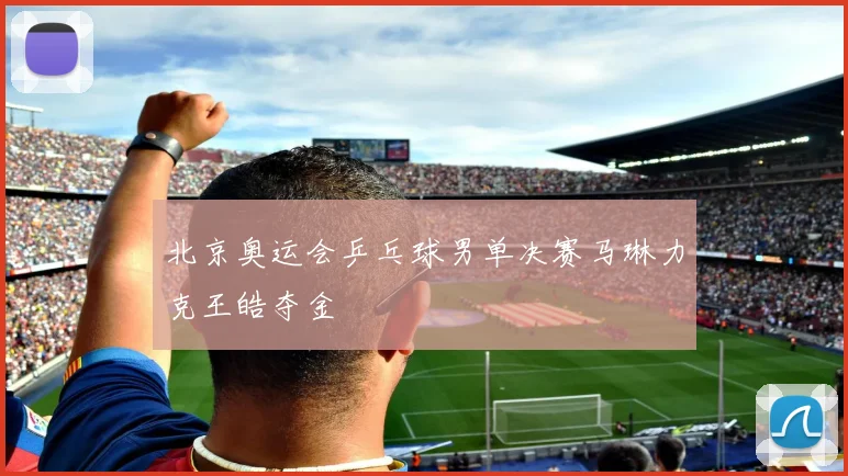 北京奥运会乒乓球男单决赛马琳力克王皓夺金