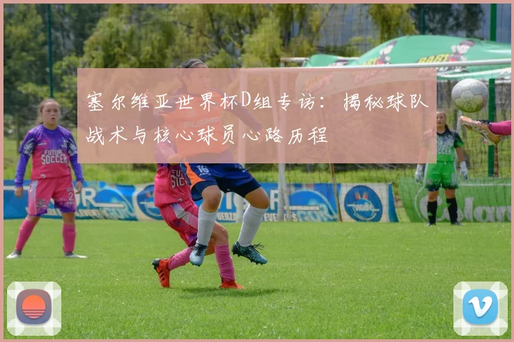 塞尔维亚世界杯D组专访：揭秘球队战术与核心球员心路历程