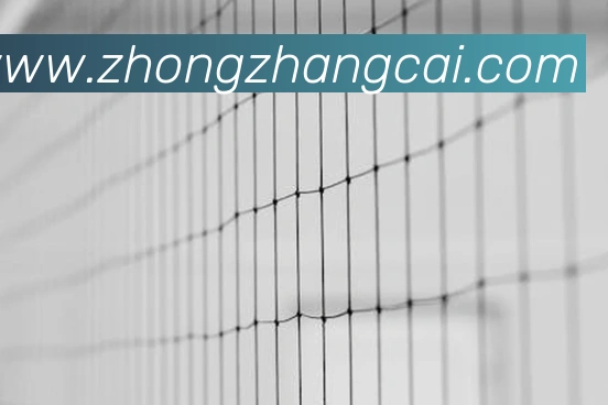 世界杯开户平台APP 封面图